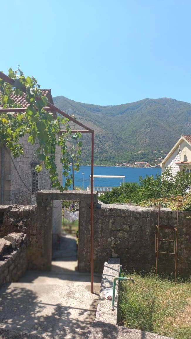 Apartments Vukasovic Kotor Eksteriør billede